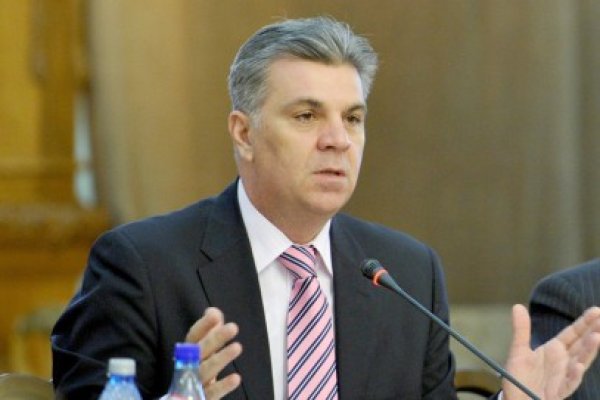 Legea câinilor fără stăpân intră în dezbatere în plen